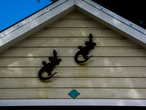 Cost of Shiplap Siding Installation in Vallejo